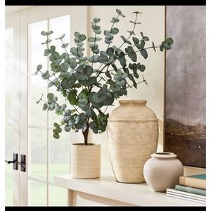 Studio McGee Large Eucalyptus Leaf in Pot - Threshold